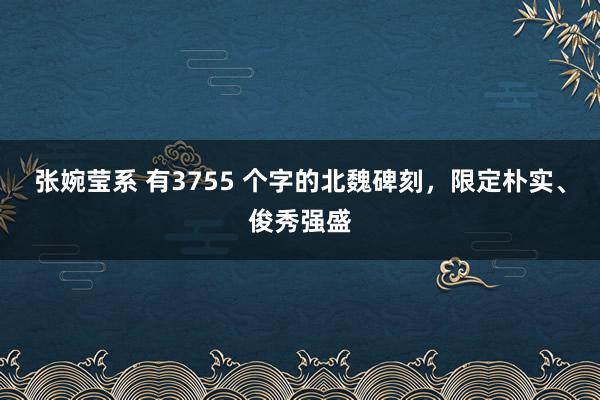 张婉莹系 有3755 个字的北魏碑刻，限定朴实、俊秀强盛