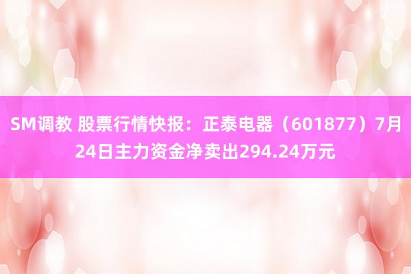 SM调教 股票行情快报：正泰电器（601877）7月24日主力资金净卖出294.24万元