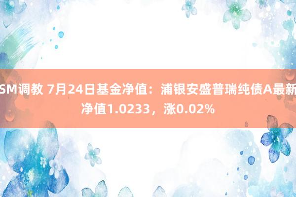 SM调教 7月24日基金净值：浦银安盛普瑞纯债A最新净值1.0233，涨0.02%