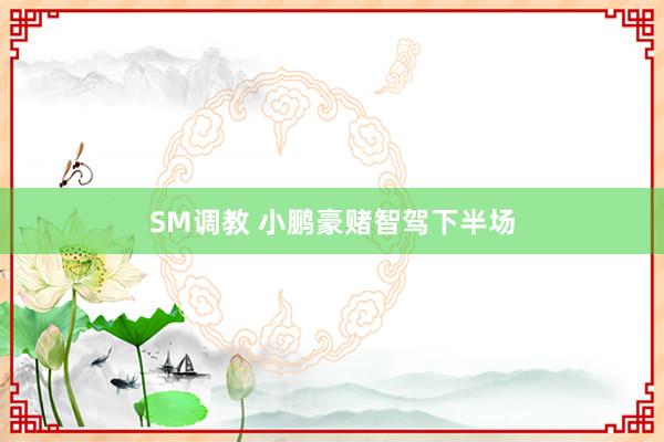 SM调教 小鹏豪赌智驾下半场