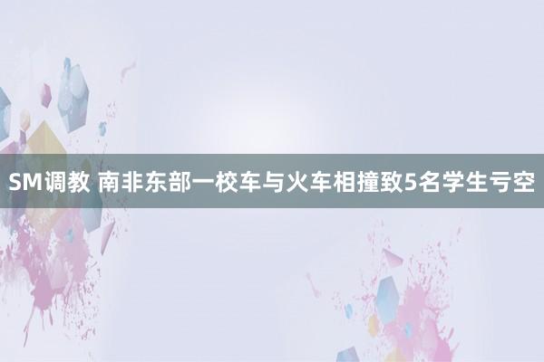 SM调教 南非东部一校车与火车相撞致5名学生亏空