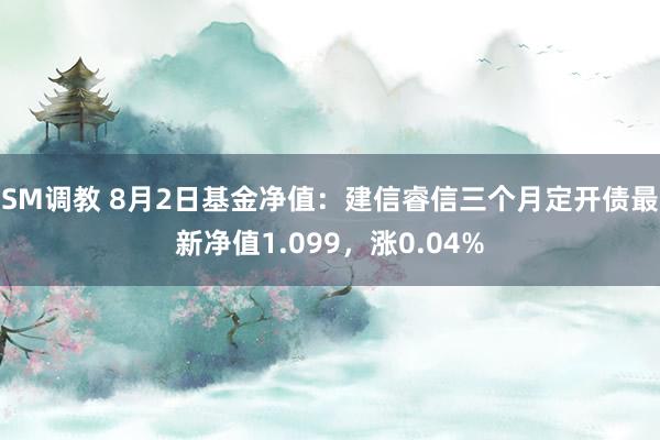 SM调教 8月2日基金净值：建信睿信三个月定开债最新净值1.099，涨0.04%