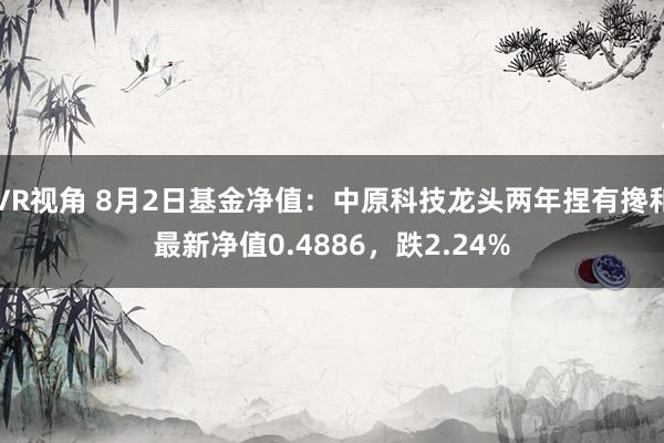 VR视角 8月2日基金净值：中原科技龙头两年捏有搀和最新净值0.4886，跌2.24%