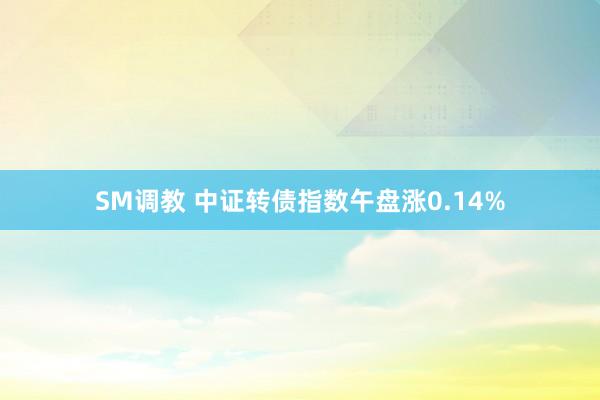 SM调教 中证转债指数午盘涨0.14%