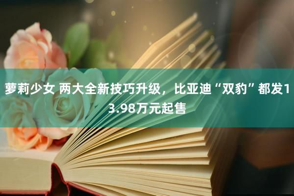 萝莉少女 两大全新技巧升级，比亚迪“双豹”都发13.98万元起售