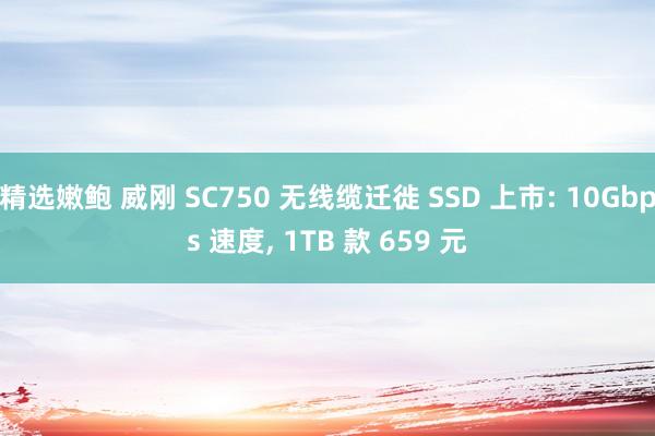 精选嫩鲍 威刚 SC750 无线缆迁徙 SSD 上市: 10Gbps 速度, 1TB 款 659 元