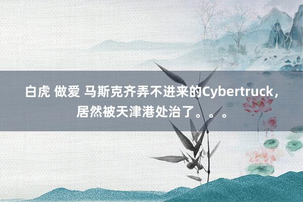 白虎 做爱 马斯克齐弄不进来的Cybertruck，居然被天津港处治了。。。