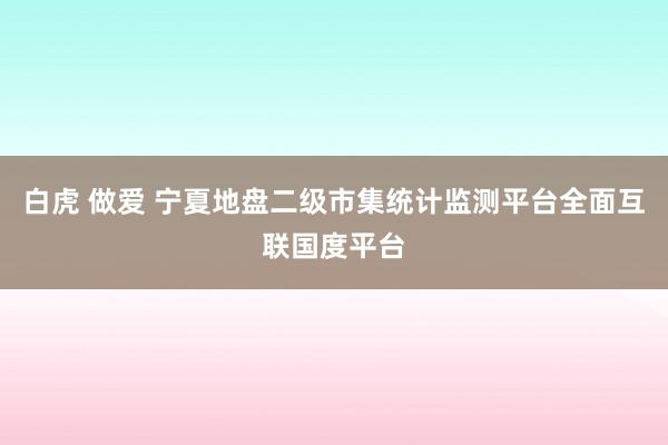 白虎 做爱 宁夏地盘二级市集统计监测平台全面互联国度平台