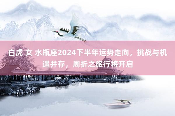 白虎 女 水瓶座2024下半年运势走向，挑战与机遇并存，周折之旅行将开启