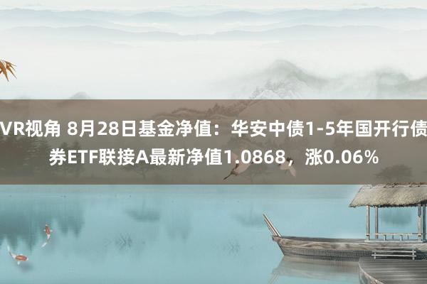 VR视角 8月28日基金净值：华安中债1-5年国开行债券ETF联接A最新净值1.0868，涨0.06%