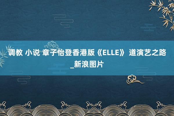 调教 小说 章子怡登香港版《ELLE》 道演艺之路_新浪图片