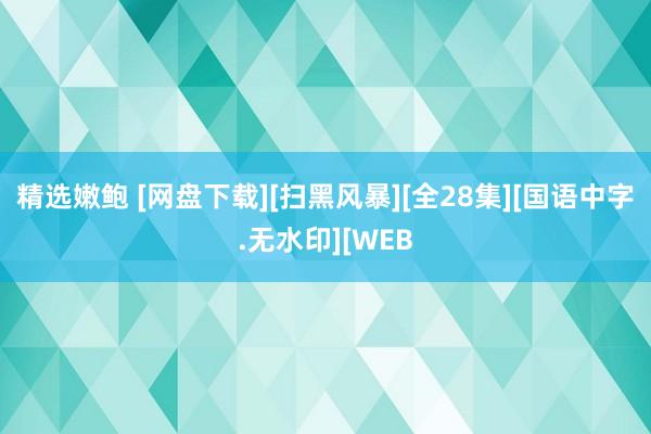 精选嫩鲍 [网盘下载][扫黑风暴][全28集][国语中字.无水印][WEB