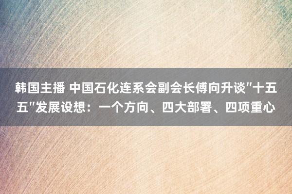 韩国主播 中国石化连系会副会长傅向升谈″十五五″发展设想：一个方向、四大部署、四项重心