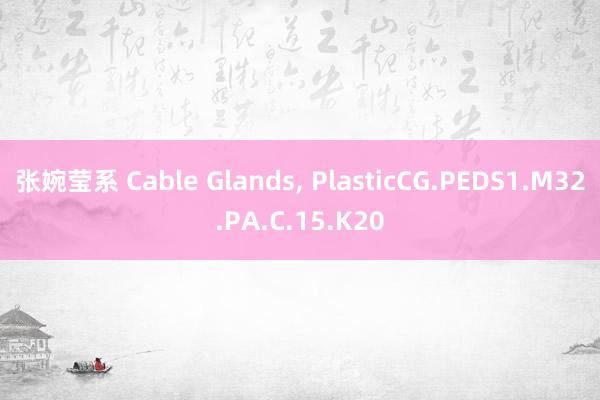 张婉莹系 Cable Glands, PlasticCG.PEDS1.M32.PA.C.15.K20