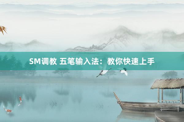 SM调教 五笔输入法：教你快速上手